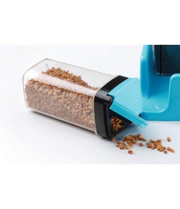 SPRINKLE SET OF 4 SPICE